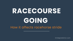 How going affects racehorse stride