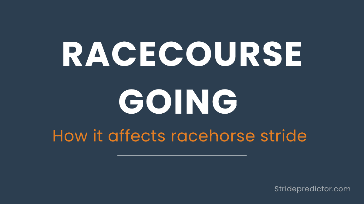 How going affects racehorse stride