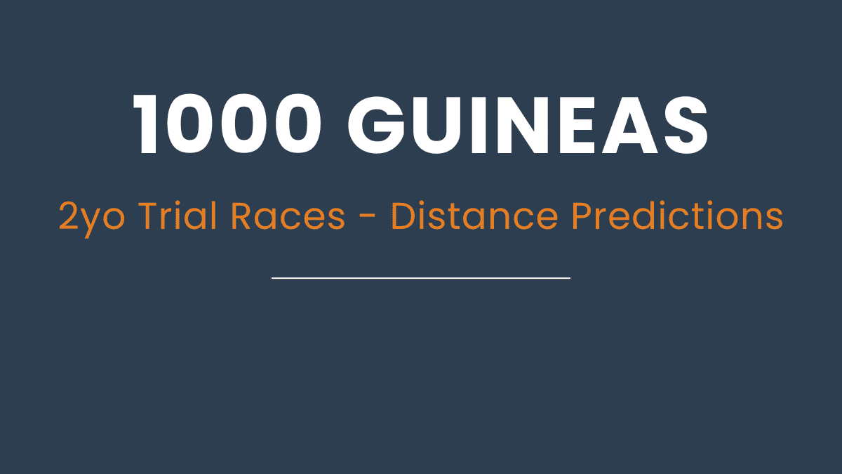 1000 Guineas 2026 stride analysis